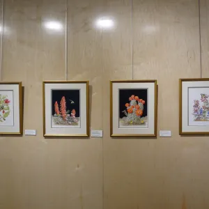 Patrick O'Hara exhibit at the Wildling Art Museum, SBBG Blaksley Library Special Collections, Art