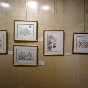 Patrick O'Hara exhibit at the Wildling Art Museum, SBBG Blaksley Library Special Collections, Art