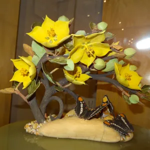 California Sisters and the Lure of Gold, Fremontodendron, porcelain sculpture, Patrick O'Hara exhibit at the Wildling Art Museum, SBBG Blaksley Library Special Collections, Art