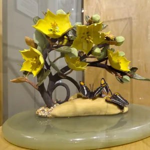 California Sisters and the Lure of Gold, Fremontodendron, porcelain sculpture, Patrick O'Hara exhibit at the Wildling Art Museum, SBBG Blaksley Library Special Collections, Art
