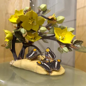 California Sisters and the Lure of Gold, Fremontodendron, porcelain sculpture, Patrick O'Hara exhibit at the Wildling Art Museum, SBBG Blaksley Library Special Collections, Art