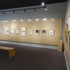 Patrick O'Hara exhibit at the Wildling Art Museum, SBBG Blaksley Library Special Collections, Art