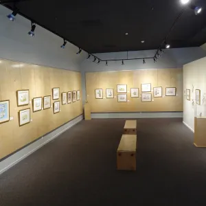 Patrick O'Hara exhibit at the Wildling Art Museum, SBBG Blaksley Library Special Collections, Art