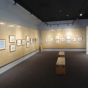 Patrick O'Hara exhibit at the Wildling Art Museum, SBBG Blaksley Library Special Collections, Art