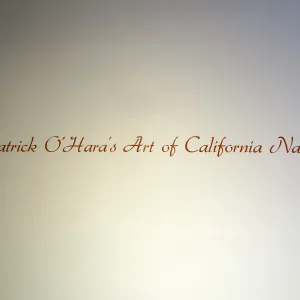 Patrick O'Hara exhibit at the Wildling Art Museum, SBBG Blaksley Library Special Collections, Art