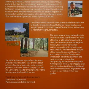 Patrick O'Hara exhibit at the Wildling Art Museum, SBBG Blaksley Library Special Collections, Art