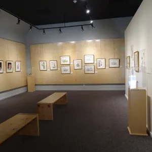 Patrick O'Hara exhibit at the Wildling Art Museum, SBBG Blaksley Library Special Collections, Art