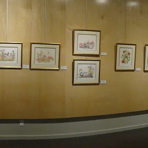 Patrick O'Hara exhibit at the Wildling Art Museum, SBBG Blaksley Library Special Collections, Art, panorama
