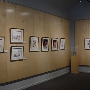 Patrick O'Hara exhibit at the Wildling Art Museum, SBBG Blaksley Library Special Collections, Art, panorama