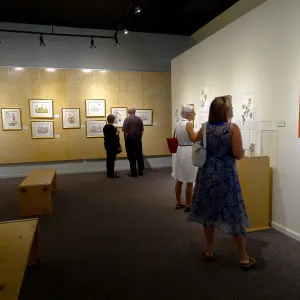 Patrick O'Hara exhibit at the Wildling Art Museum, SBBG Blaksley Library Special Collections, Art