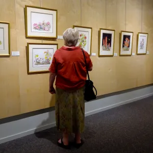 Patrick O'Hara exhibit at the Wildling Art Museum, SBBG Blaksley Library Special Collections, Art