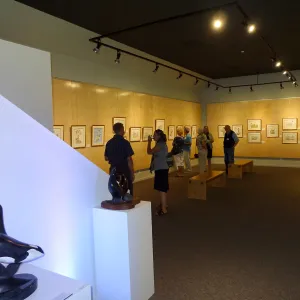 Patrick O'Hara exhibit at the Wildling Art Museum, SBBG Blaksley Library Special Collections, Art