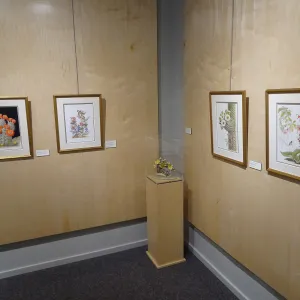 Patrick O'Hara exhibit at the Wildling Art Museum, SBBG Blaksley Library Special Collections, Art