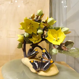 California Sisters and the Lure of Gold, Fremontodendron, porcelain sculpture, Patrick O'Hara exhibit at the Wildling Art Museum, SBBG Blaksley Library Special Collections, Art