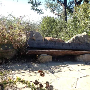 Bench at SBBG
