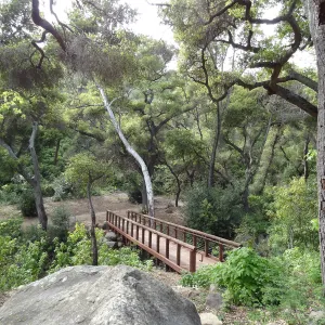 new Campbell Bridge, February 2013