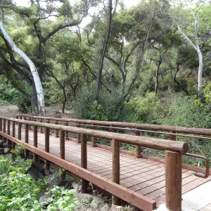 new Campbell Bridge, February 2013