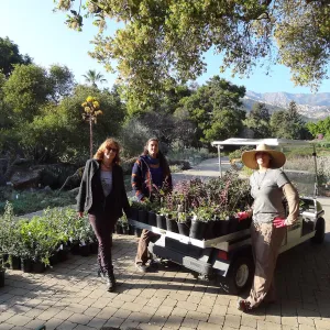 Betsy Collins, Betsy Lape and Heather Wehnau, Spring Plant Sale 2013, set-up, Hort Department staff
