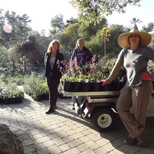 Betsy Collins, Betsy Lape and Heather Wehnau, Spring Plant Sale set-up, Hort Department staff