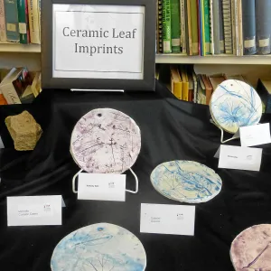 iCAN Art Exhibit Opening