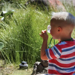 child with magnifying glass, Meadow Pond, SBBG