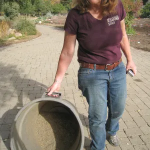 14 pounds of Wildflower Seed, Meadow Revival Project