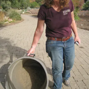 14 pounds of Wildflower Seed, Meadow Revival Project