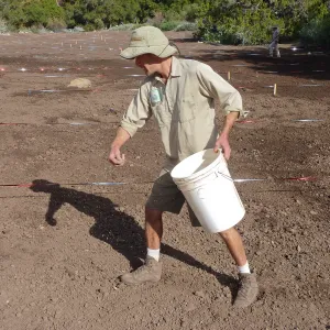Sowing wildflower seed mixed with sand, Meadow Revival Project