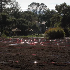 Reflective Bird Repellent Tape, Meadow Revival Project