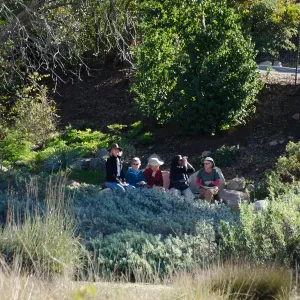 Volunteers at the Meadow View