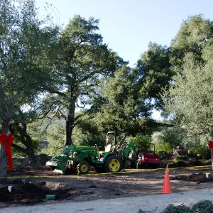 Tractor, red ribbons, new oaks arrive at SBBG, Meadow Oaks 