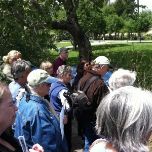 Docent field trip to La Brea tar pits, George C. Paige Museum, La Brea Discoveries