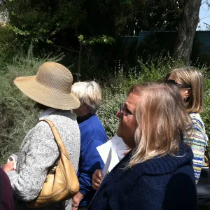 Docent field trip to La Brea tar pits, George C. Paige Museum, La Brea Discoveries