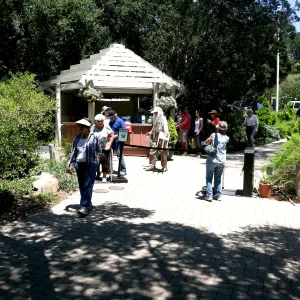 Community Free Day, SBBG
