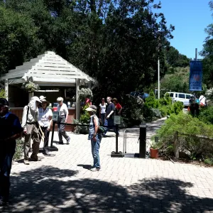 Community Free Day, SBBG