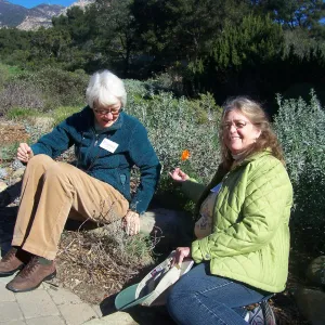 California Naturalists, SBBG, Susan Davidson, Cathy Rose