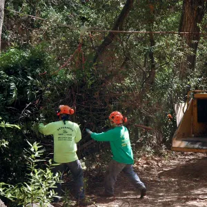 Creek Trail maintenance, SBBG