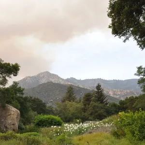 smoke visible from the Garden, fire in Santa Ynez back country