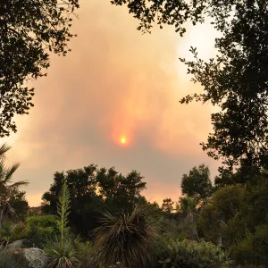 smoke visible from the Garden, fire in Santa Ynez back country