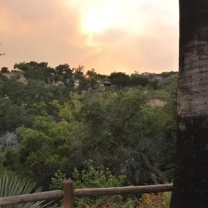 smoke visible from the Garden, fire in Santa Ynez back country