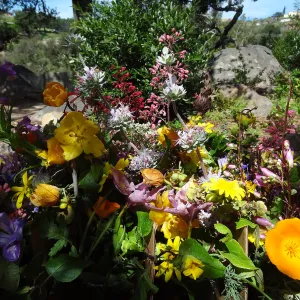 Floral arrangement, Volunteer Appreciation event 2012
