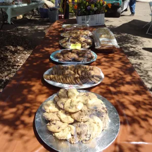 cookies, Volunteer Appreciation event 2012