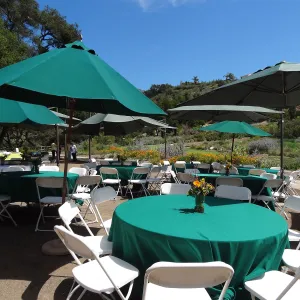 tables set under the Meadow Oaks, Volunteer Appreciation event 2012