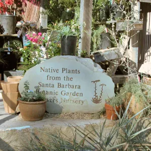Garden Growers Nursery plants and products, SBBG