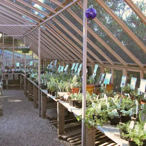Garden Growers Nursery plants and products, SBBG