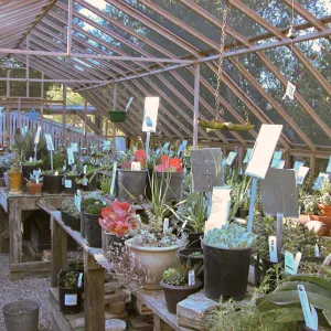 Garden Growers Nursery plants and products, SBBG