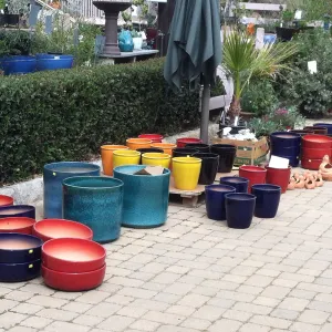 assorted ceramic pots, Garden Growers Nursery, SBBG