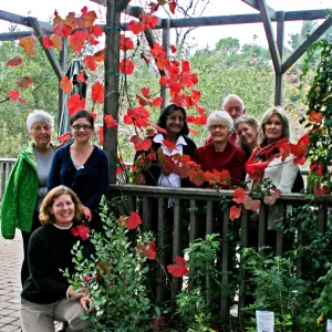 California Naturlaists, SBBG, group photo, graduation, Garden Terrace