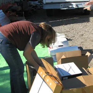 Tricia Wardlaw, SBBG Staff cleaning out temoporary storage container, after the Jesusita Fire