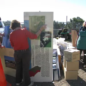 SBBG Staff cleaning out temoporary storage container, after the Jesusita Fire